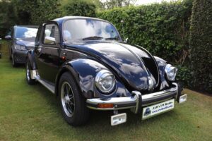 MyBeetle27thMay2019 (34)
