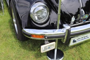 MyBeetle9thJune2019 (11)
