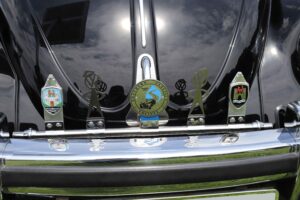 MyBeetle9thJune2019 (12)