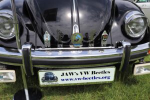 MyBeetle9thJune2019 (13)