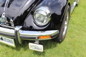 MyBeetle9thJune2019 (14)