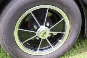 MyBeetle9thJune2019 (15)