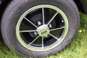 MyBeetle9thJune2019 (18)