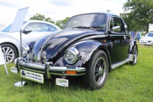 MyBeetle9thJune2019 (2)
