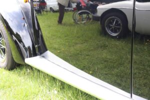 MyBeetle9thJune2019 (20)