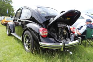 MyBeetle9thJune2019 (21)