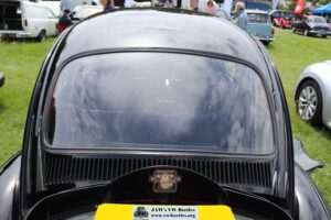 MyBeetle9thJune2019 (22)