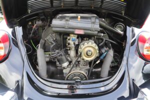 MyBeetle9thJune2019 (23)