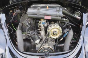 MyBeetle9thJune2019 (24)