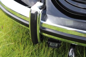 MyBeetle9thJune2019 (25)