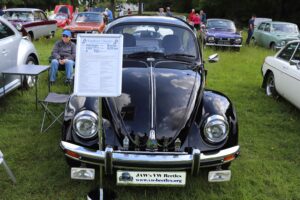 MyBeetle9thJune2019 (3)