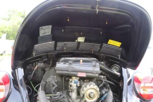 MyBeetle9thJune2019 (30)