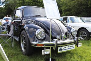 MyBeetle9thJune2019 (5)