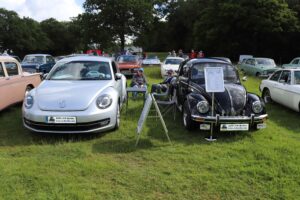 MyBeetle9thJune2019 (6)