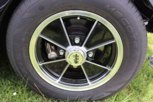 MyBeetle9thJune2019 (8)