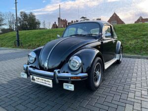 MyBeetle12Dec2022 (4)