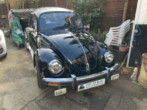 MyBeetle12thFeb2022 (1)