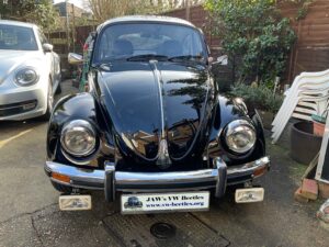 MyBeetle12thFeb2022 (3)