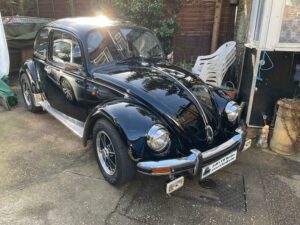 MyBeetle12thFeb2022 (4)