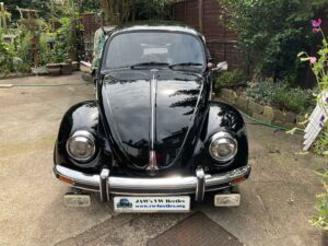 MyBeetle13thAug2021 (1)