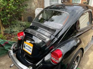 MyBeetle13thAug2021 (11)