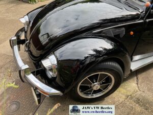 MyBeetle13thAug2021 (13)