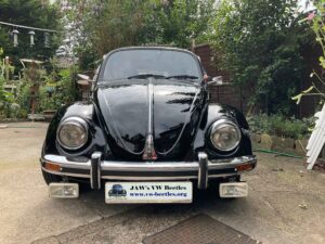 MyBeetle13thAug2021 (2)