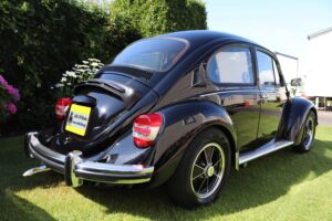 MyBeetle14thAug2021 (5)