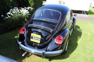MyBeetle14thAug2021 (6)