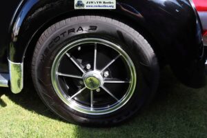 MyBeetle14thAug2021 (8)