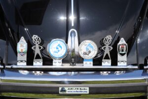 MyBeetle15thAug2021 (3)