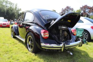 MyBeetle15thAug2021 (5)