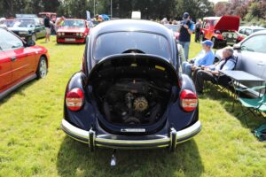 MyBeetle15thAug2021 (6)