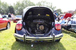 MyBeetle15thAug2021 (7)