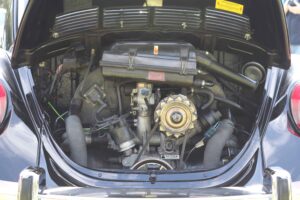 MyBeetle15thAug2021 (8)