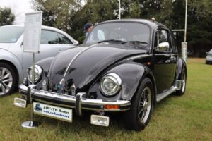 MyBeetle18thAug2019 (1)