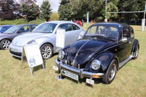 MyBeetle18thAug2019 (10)