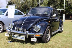 MyBeetle18thAug2019 (11)