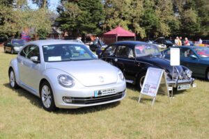 MyBeetle18thAug2019 (12)