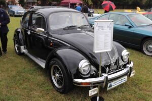 MyBeetle18thAug2019 (2)