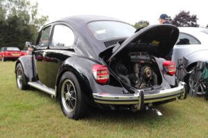 MyBeetle18thAug2019 (3)