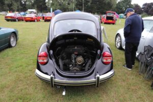 MyBeetle18thAug2019 (5)