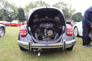 MyBeetle18thAug2019 (6)