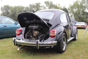 MyBeetle18thAug2019 (7)