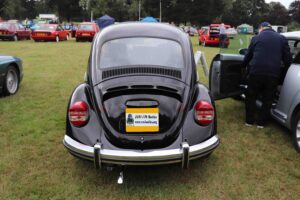 MyBeetle18thAug2019 (8)
