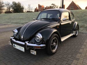 MyBeetle22Dec2021 (3)