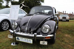 MyBeetle22ndSept2019 (1)