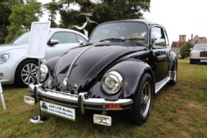 MyBeetle22ndSept2019 (2)