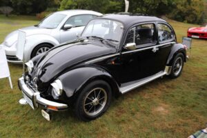 MyBeetle22ndSept2019 (3)