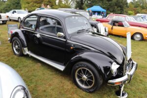 MyBeetle22ndSept2019 (6)